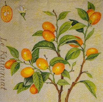 132 Zitronen, Orangen - 3-lagig - Avantgarde